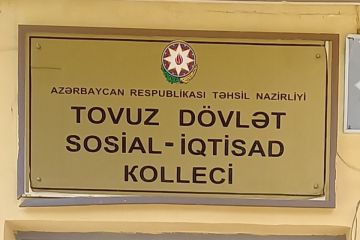 Kollec direktoru QOVULDU - BU DƏFƏ TOVUZDA